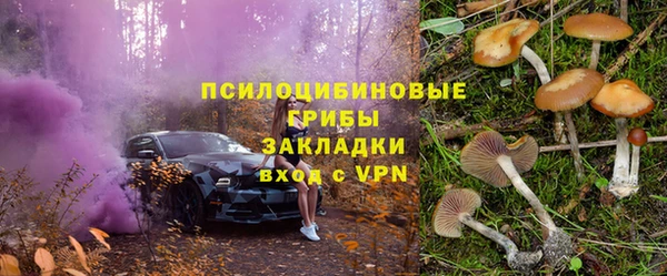 ПСИЛОЦИБИНОВЫЕ ГРИБЫ Алексин